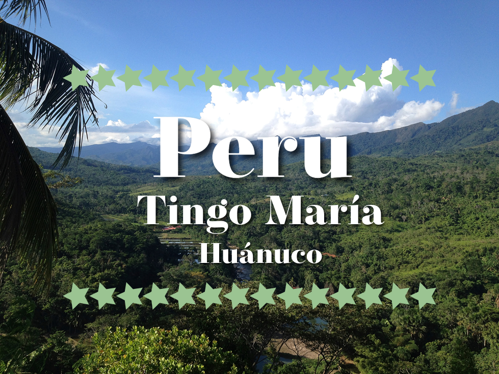 100% ren kakaomasse fra Tingo María - Peru