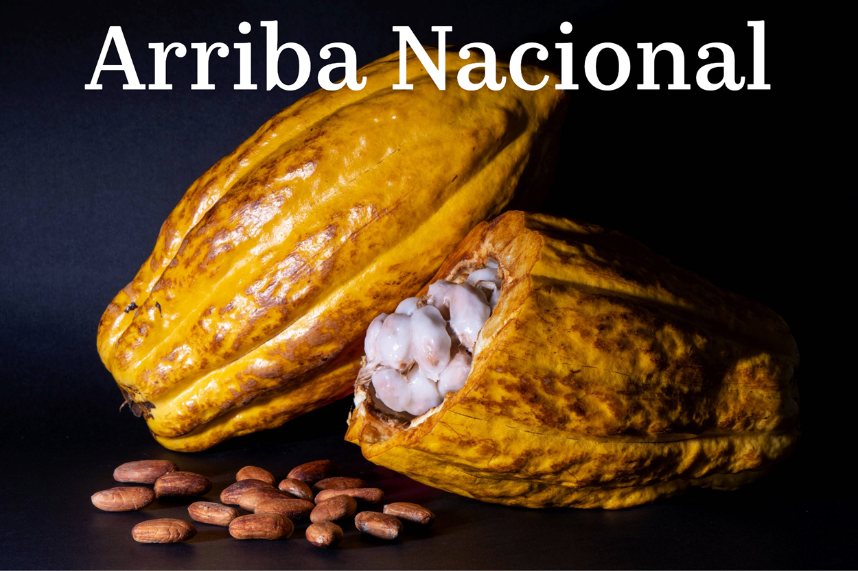 100% ren kakao fra Hacienda Victoria - Clásico - Ecuador