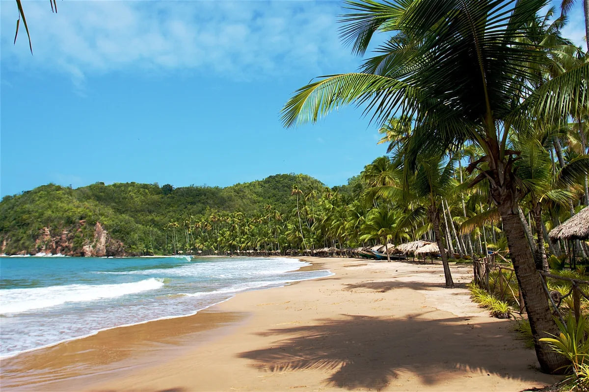 Palmekledd strand ved Cuyagua, Venezuela