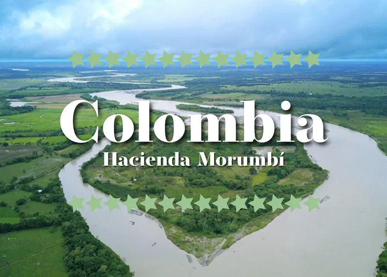 Illustrasjon av elvelandskap ved Hacienda Morumbí, Colombia