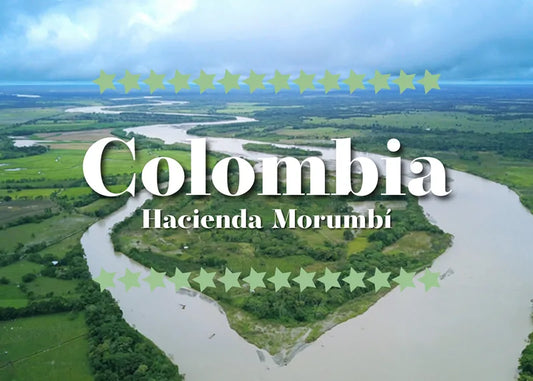 Illustrasjon av elvelandskap ved Hacienda Morumbí, Colombia