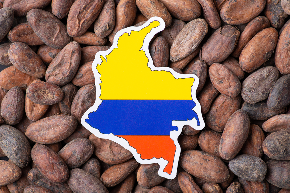 Colombia cacao