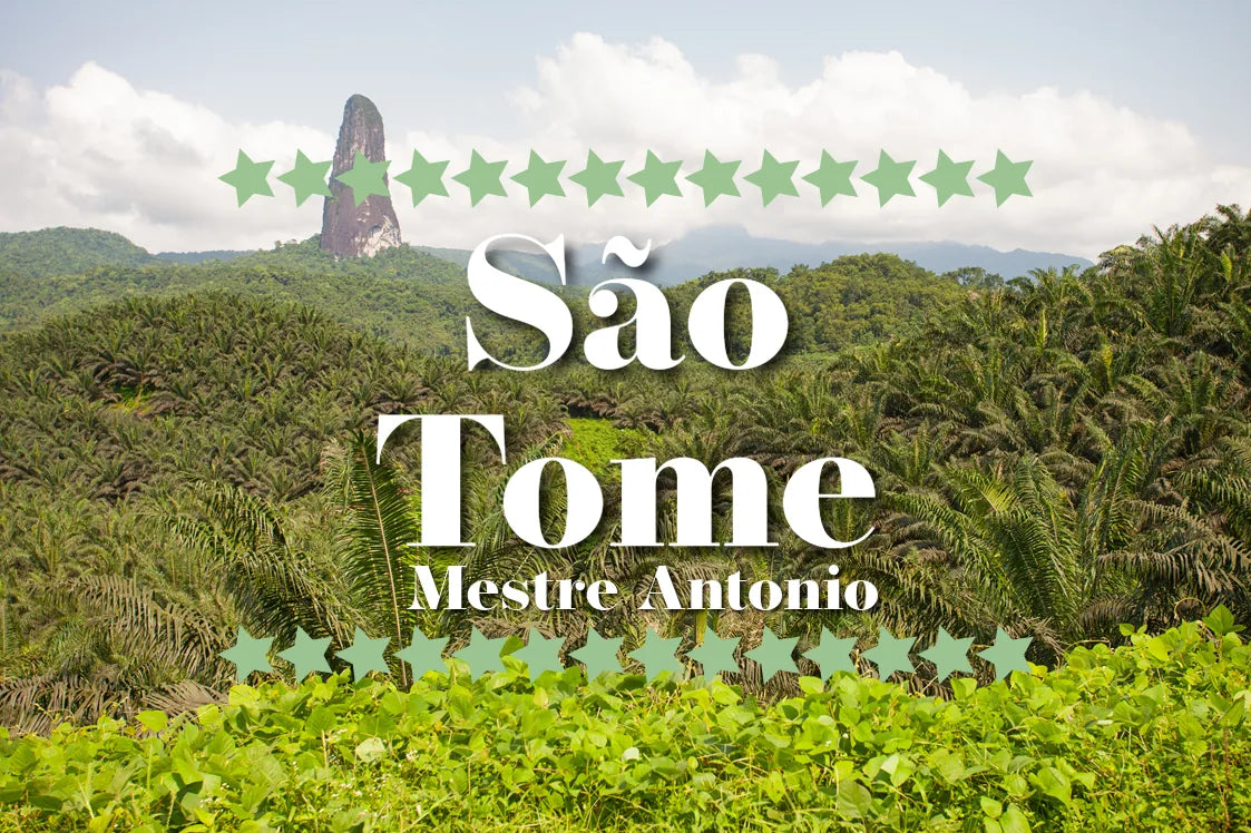 Vulkanfjellet Pico Cão Grande sett over palmeplantasje på São Tomé