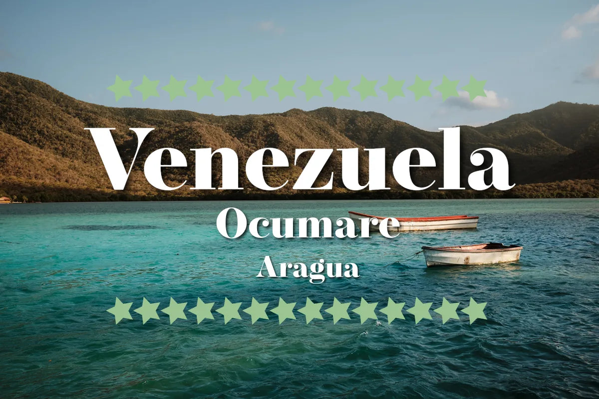 Illustrasjon av kystlandskap i Ocumare, Aragua, Venezuela